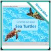 Let's find out about sea turtles - information book