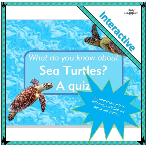 What do you know about Sea Turtles? A quiz – readilearn